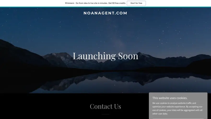 NOAN — screenshot of the delivered site